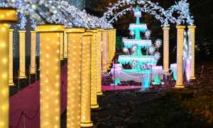 lucine natale