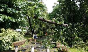 maltempo vb ago 19 3