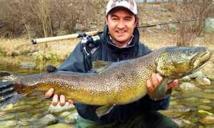 max ghibaudo pesce pesca