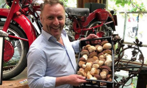 max sartoretti funghi