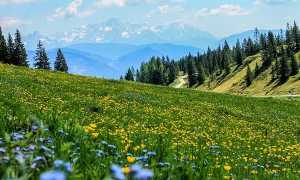 montagna paesaggio