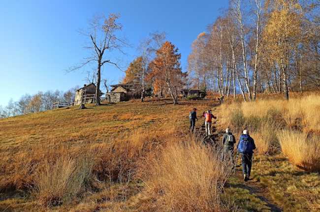 monte todum fabbri