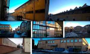 open day stabilimento