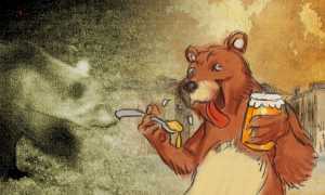 orso videogame