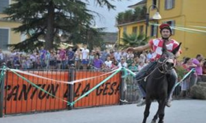 palio premosello