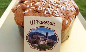 panetun vagna bambin 21