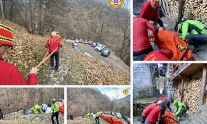 partoriente antrona
