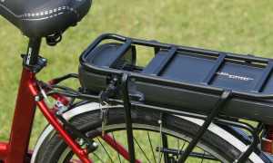 pexels photo 11951153