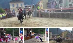 premosello palio 19