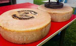 prime forma Bettelmatt marchiatura