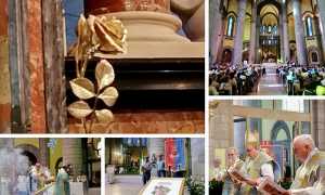 re rosa oro santuario mix