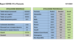 report cov 14