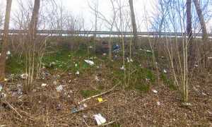 rifiuti superstrada pendio