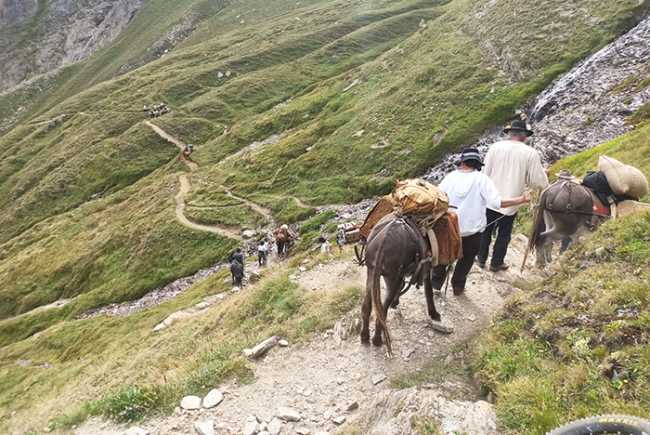 sbrinz route discesa cavalli sentiero