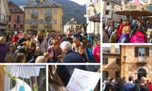 scovalova vigezzo 19 mix