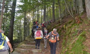 sentiero macugnaga bosco salita gruppo