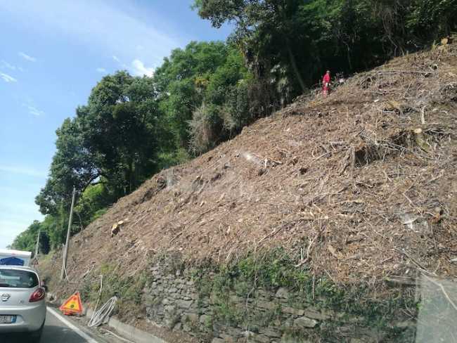 statale34 lavori00001 copia 2