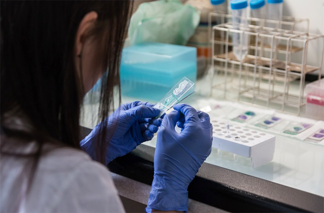 test analisi provetta