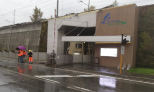 vigezzina cavo trancio