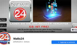 wallis facebook