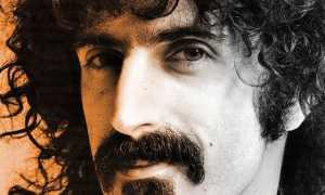 zappa