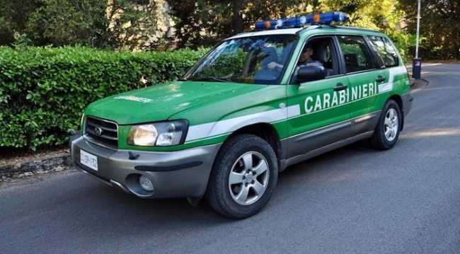 Carabinieri forestali Auto
