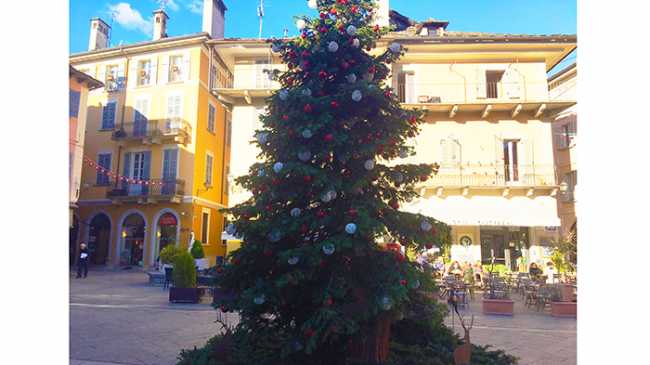 albero natale 17