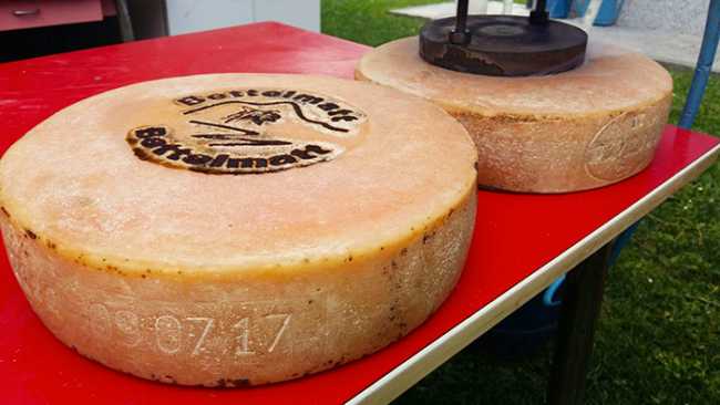 prime forma Bettelmatt marchiatura