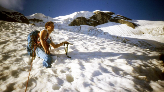 berardi walter nordent rosa