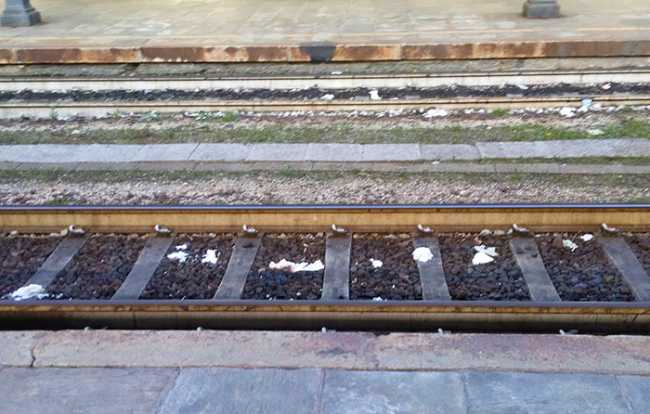 scarico treni binari