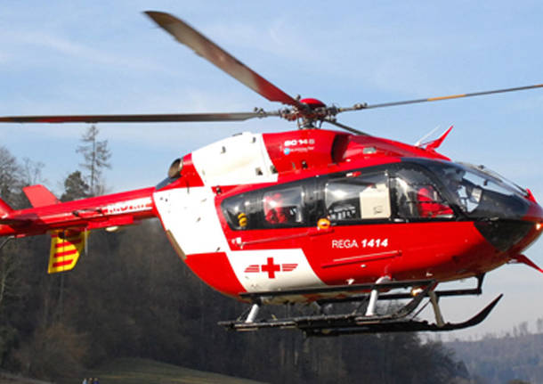 rega generiche 662855.610x4311