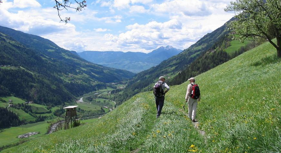 Schermata 2019 08 01 alle 10.53.50