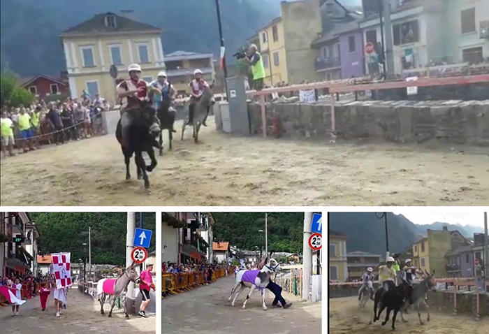 Premosello: annullato l’appuntamento di Ferragosto con il Palio degli Asini