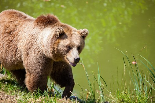 Schermata 2020 09 21 alle 14.01.31