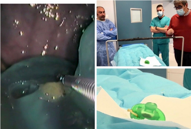 Schermata 2021 04 04 alle 10.11.09