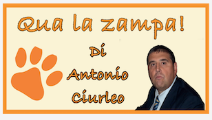 Schermata 2021 04 18 alle 10.21.00