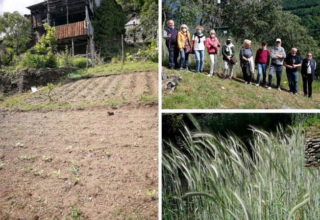 Schermata 2021 05 29 alle 18.29.33