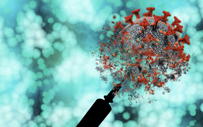 covid rendering siringa images articles vco ossola 2022 gennaio thumb medium650 0