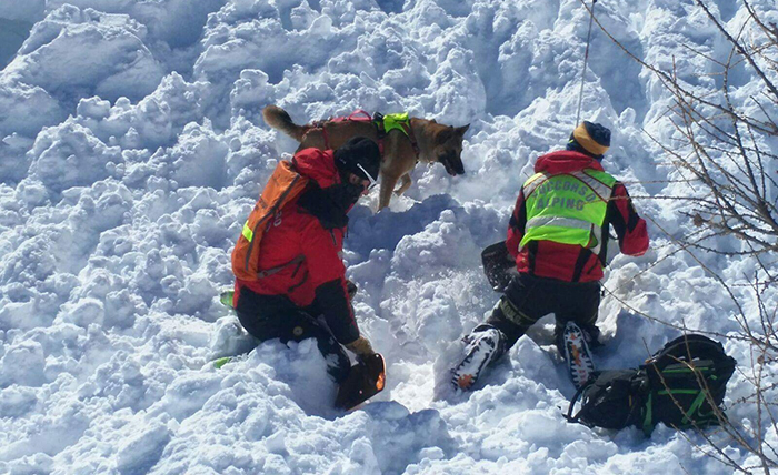 Piccola valanga in alta Formazza: in 4 travolti dalla neve. Escono illesi