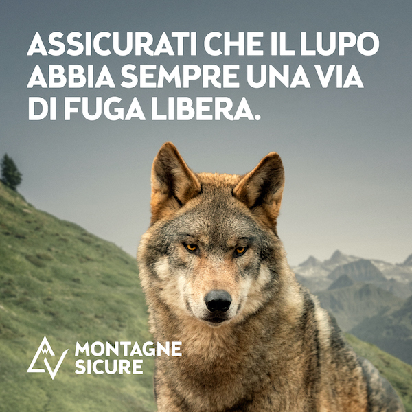 MontagneSicure Messaggi 1080x1080px copia62