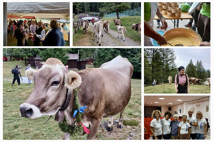 “La Scargàa di alp", domenica 7 settembre in Val Bognanco